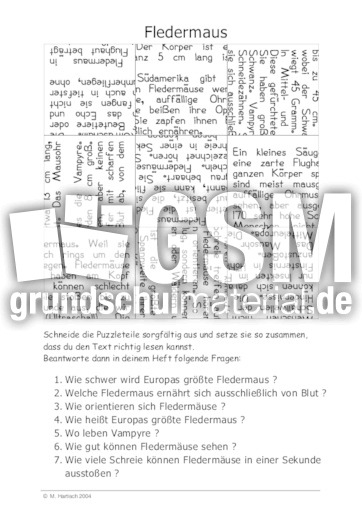 Fledermaus.pdf